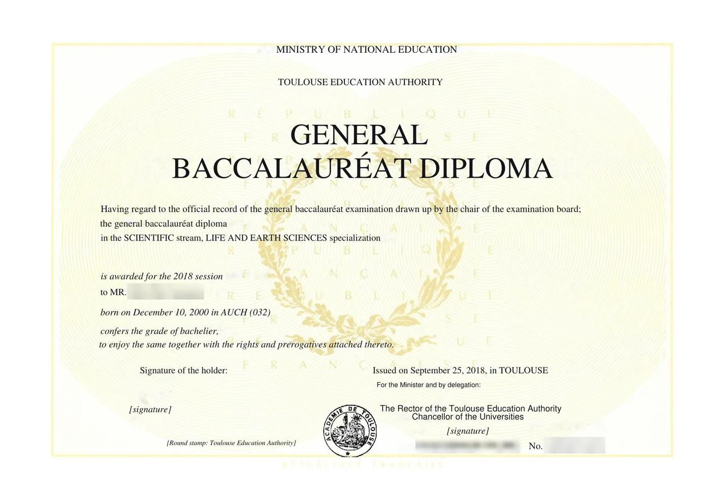 Diploma — Translated and certified document