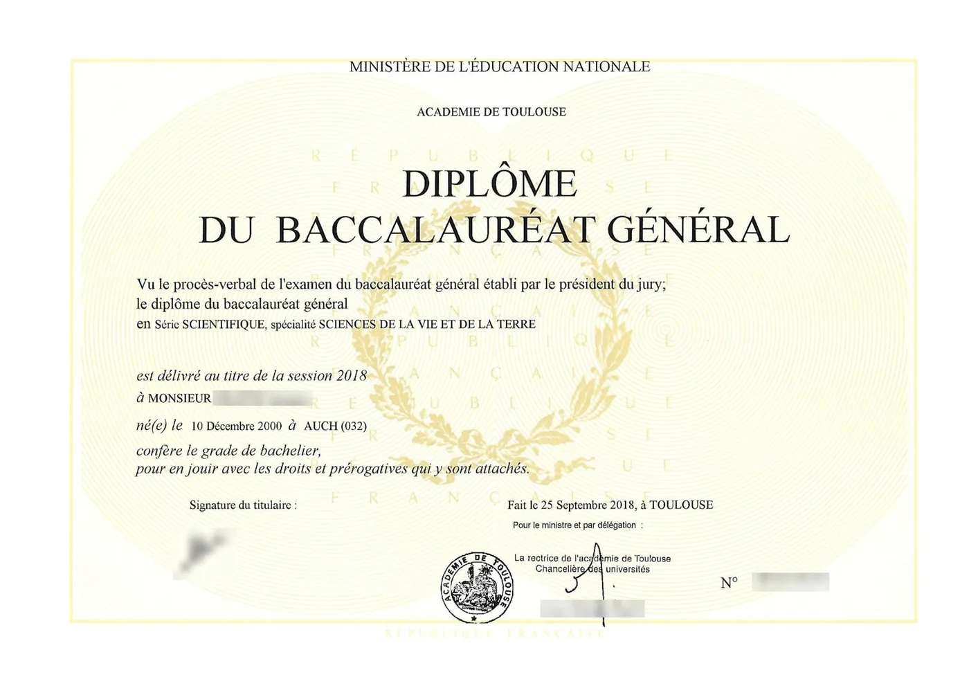 Diploma — Original document
